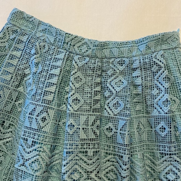 Adorable Champagne & Strawberry skirt by Anthropology. - Picture 5 of 7